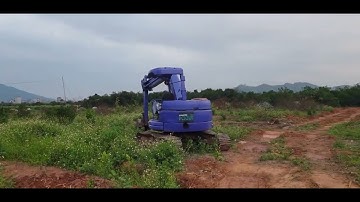 Thăm Lại Cánh Đồng Táo Bỏ Hoang l Núi Đồi Lục Ngạn