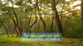 09 | Deklamado de Fontina – La Vento Miljara | 천년의 바람 – 에스페란토