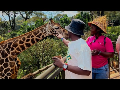 T 26 Music Wabo Wabo Official Lyrics