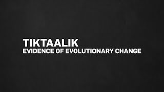 Tiktaalik: Evidence of Evolutionary Change