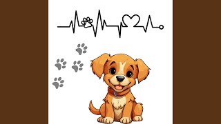 Seja bem-vindo, meu amor de quatro patas