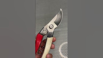 Kéo cắt cành Okatsune. Rẻ. Đẹp. Và Chất lượng. Ae xem vui 🤩