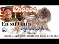 294# Chocos en su tinta en Noche Buena