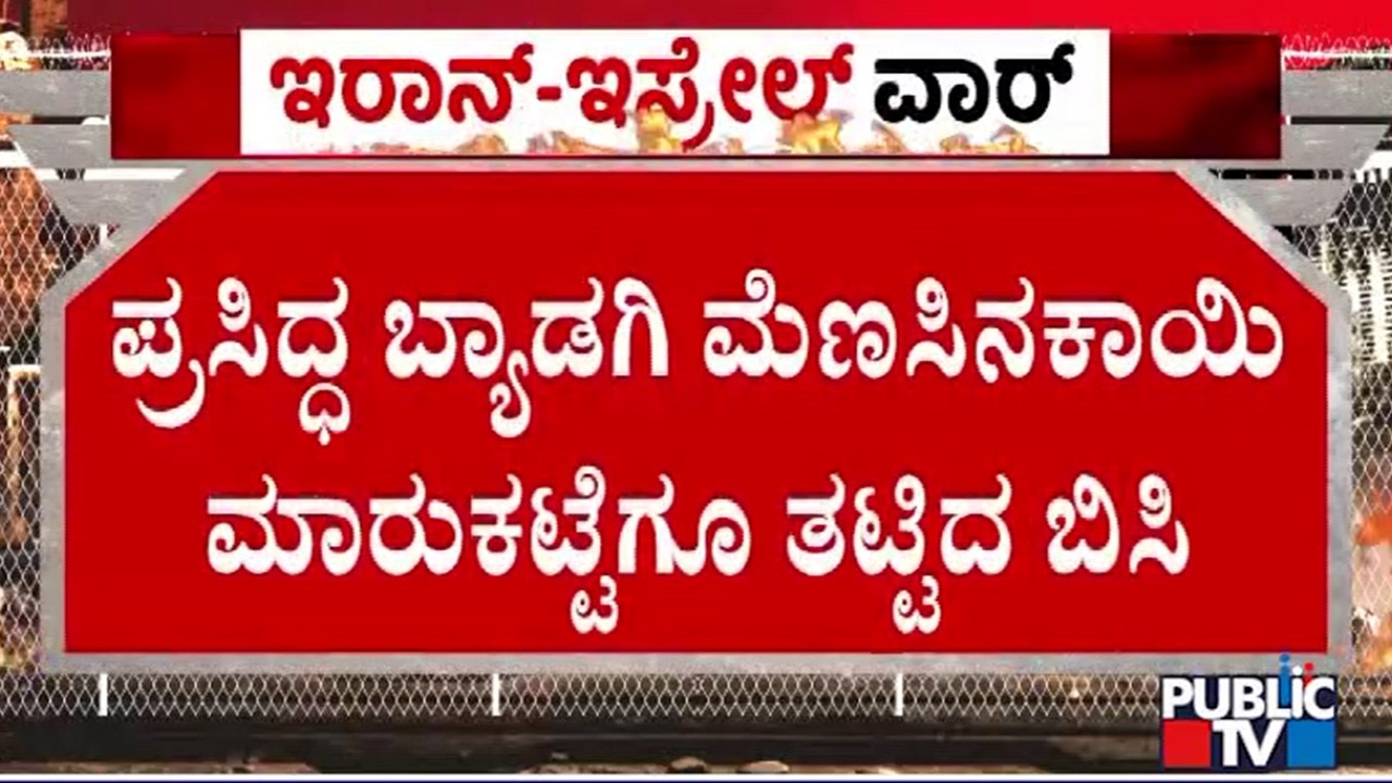 Iran and Israel War Affects Byadagi Chilli Business | Public TV