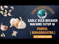 Garlic Bulb Breaker Machine In Panvel (Maharashtra) 🧄 500KG Garlic Clove Separator Machine🧄 #garlic