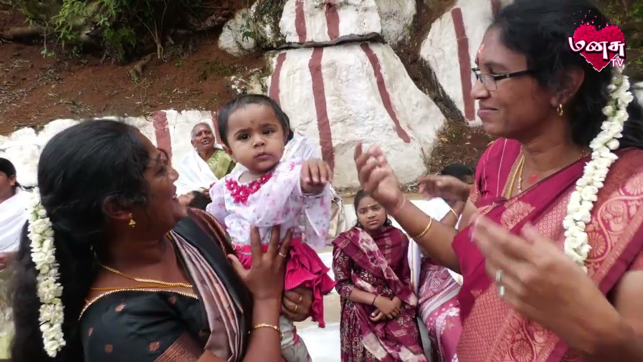 காசோலை ஸ்ரீ செல்வ நாயகி அம்மன் மாரிஹப்பா | 2025 | Kasolai Marihabba | MANASU TV #ooty #kasolai