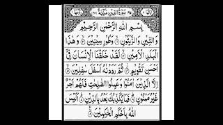 Download Lagu surah at tin / Abdul Qadir #quran MP3