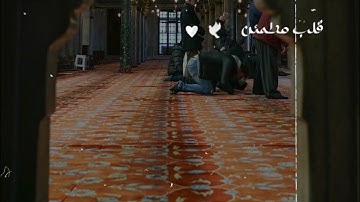 همسات التراويح رمضان 2024 | تلاوة خاشعة