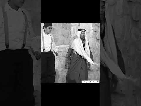 مسلسل نمر بن عدوان