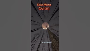 Astronomical Events in October 2025!