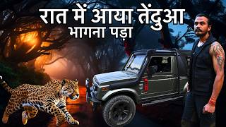 Dengerous Night In Forget | Leopard Spotted In Wild | wilderness