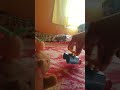 aaaaaaaaaaaaaaaaaaaa
