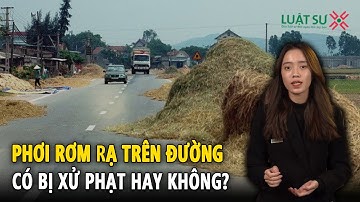 Phơi rơm rạ gây cản trở giao thông có bị phạt?