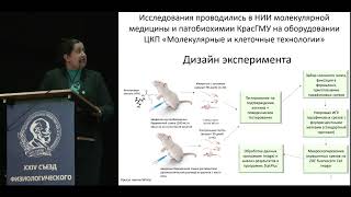 Особенности поведения и экспрессии маркеров нейрогенеза при экспериментальном аутизме у крыс