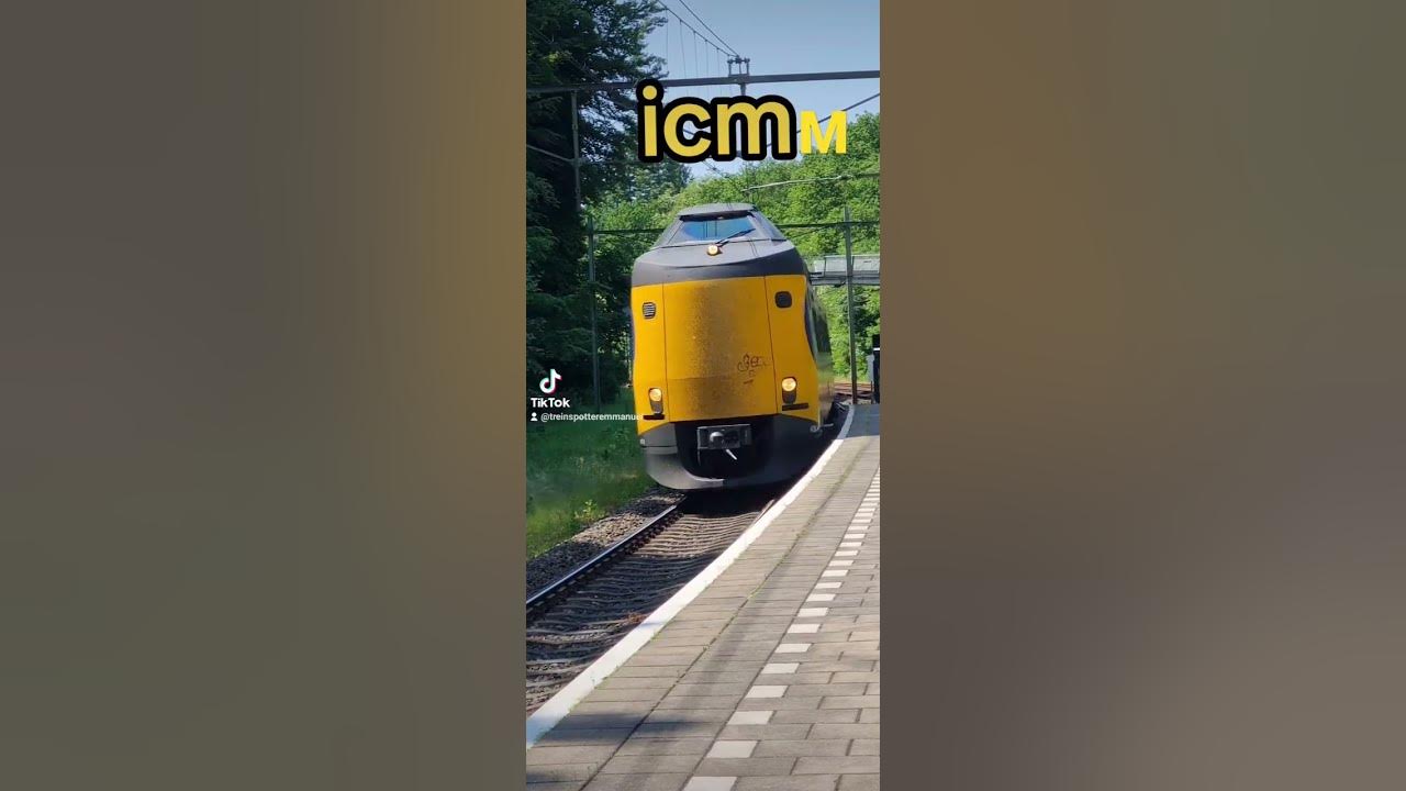 koploper - YouTube