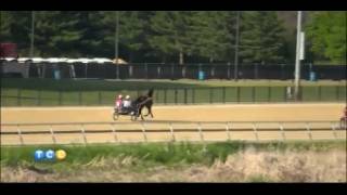 Harness Racing at Running Aces