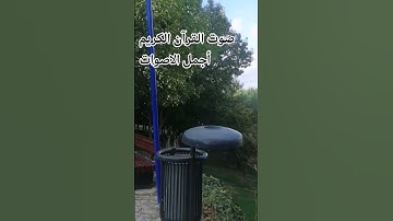 قران كريم💕🤲♥️ بصوت جميل سوره الفاتحه اللهم اجعل القرآن ربيع قلوبنا ونور صدورنا ##راحة_نفسية #تصويري