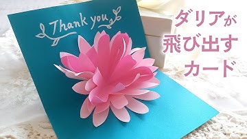 かわいいダリアの花が飛び出すカードの作り方（音声解説あり）How to make cute dahlia flower pop-up card