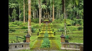 Kebun Raya Eka Karya Garden, Bali Island