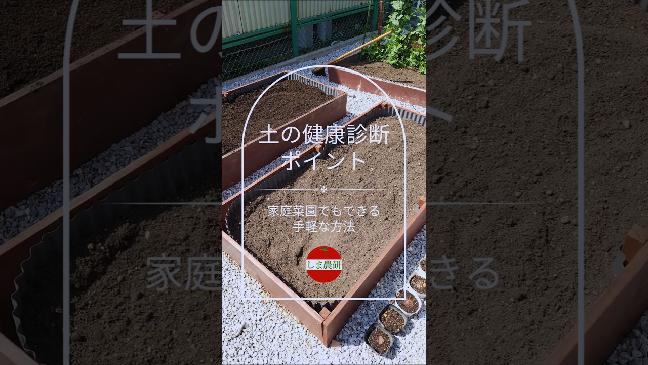 家庭菜園の土の健康診断！誰でも簡単にできる土質・水はけ・酸度