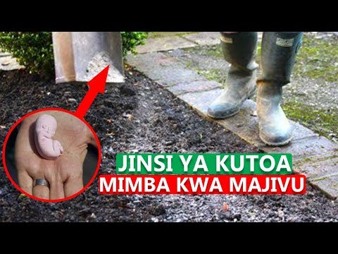 Video: Jinsi Ya Kutumia Majivu Kwenye Wavuti