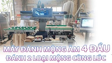 Máy Đánh Mộng Âm CNC 4 Đầu 2 Bàn Làm Việc Gia Công 2 Sản Phẩm Khác Nhau - SDC 1500 4 4