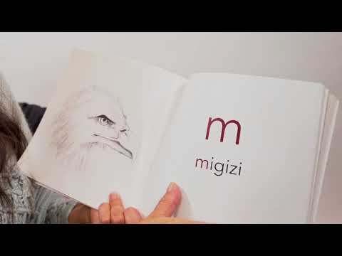 Anishinaabemowin ABCs Learn Ojibwe