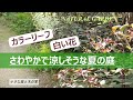 《カラーリーフ》白い花が咲きグリーンが一杯／清々しい夏の庭