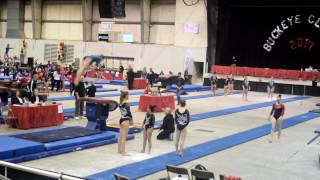 Arinya Level 9 Vault slowmo Buckeye 2017