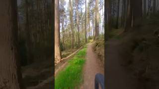 Dalby Forest MTB: Racing Through Pines | Sunglasses at Night Vibes #MTB #DalbyForest