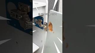 👍1억명 이상이 감탄한 생활꿀팁 vol.2