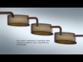 Zinc Process Animation Video