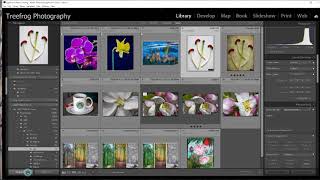10 How to add a Border to your image in Lightroom