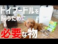 【子犬のお迎え準備】経験から分かったトイプードルを迎える前に準備しておく物