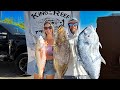 Spearfishing tournament  insane mutton spawn  king of the reef