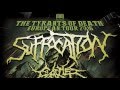 Capture de la vidéo Suffocation - European Tour 2016 (Official Trailer)