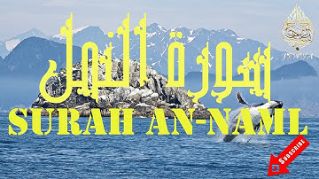 Surah An-Naml Mohamed Seddik El Menchaoui ❤️ سورة النمل تلاوة هادئة محمد صديق المنشاوي