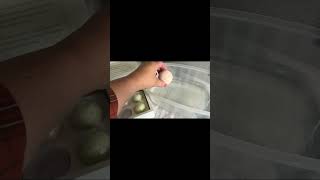 Tibetan Bath Bombs Review for Relaxation and Sleep | Generic