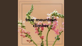 true mountain climber