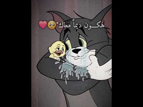منشن وحكيلو هكون ديما معاك توم جيري انميشن توم جيري حالات واتس توم المشاكس بطوط