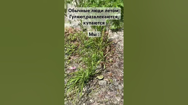 Осуждаю,но весело) !!не повторять!! Опасно!!. Ют не бань!