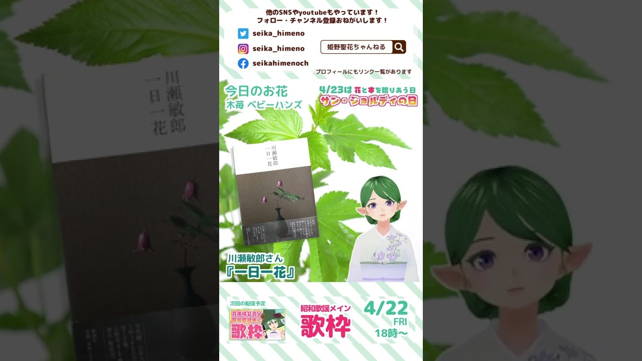好きな本紹介】チルい生け花本 川瀬敏郎さん『一日一花』【花