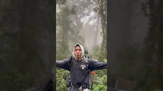 Download Lagu PANGGILAN DARI GUNUNG🍃 #feedshorts #shortsfeed #fypshorts #trendingshorts #viralshorts #shortsviral MP3 Download Lagu PANGGILAN DARI GUNUNG🍃 #feedshorts #shortsfeed #fypshorts #trendingshorts #viralshorts #shortsviral MP3