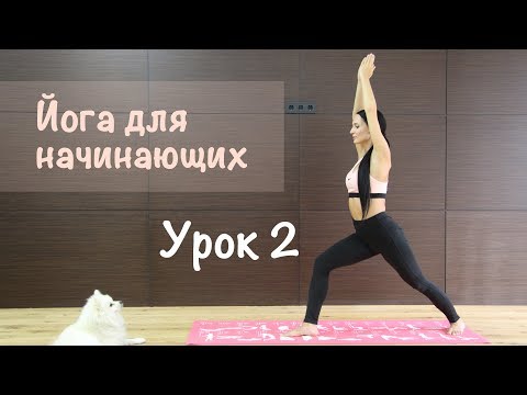 Йога для начинающих 2 урок видео