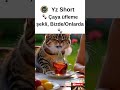 Çaya Üfleyen Kedi ☕🐱💨  Anadolu’nun Gizli Baristası! #cat #komikkedi #ked...