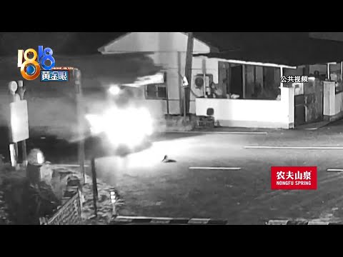 【1818黄金眼】吓跑狗的“四脚怪”，女儿建议找专家