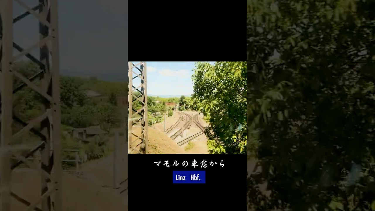 Train Window from Mamoru’s Trip 🇦🇹| 