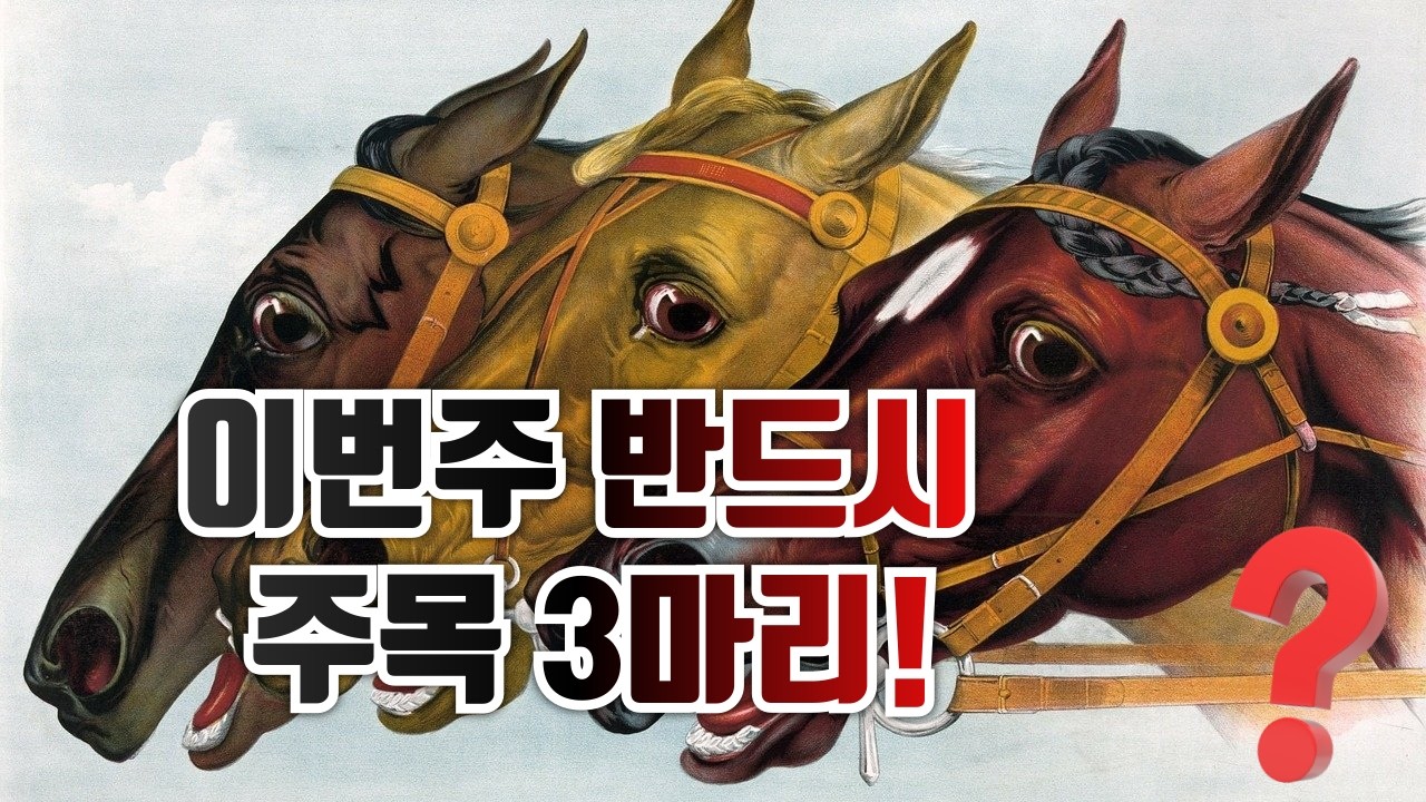 3월2주차 서울 마사회 취재 다녀왔습니다