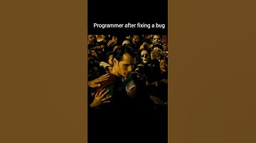 From Debug Deity to Code Crawling: A Programmer