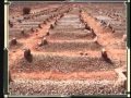 ياقبر أعز أنسان رقد فيك